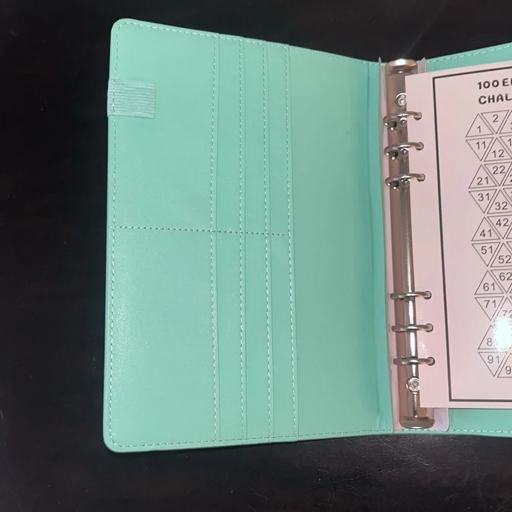 100 Day Envelope Challenge Budget Planner